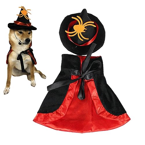 Halloween-Kostüm für Katzen | Hexenhund-Kostü Cosplay für Hunde und Katzen | innovativer wiederverwendbarer und innovativer Umhang für Karneval und Kleidung Pacienjo von Pacienjo