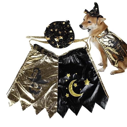 Halloween-Kostüme für Hexenhund, Hexe, Hund, Katze, Cosplay, innovativ, wiederverwendbar und innovativ, für Karneval und tägliche Kleidung Pacienjo von Pacienjo