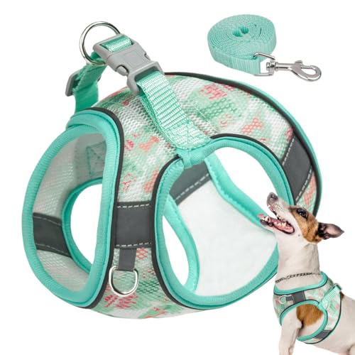 Hundegeschirr mit Leine | Reflektierendes atmungsaktives Hundegeschirr mit Griff – Leine zur einfachen Kontrolle, weich gepolsterte Weste für kleine und mittelgroße Hunde von Pacienjo