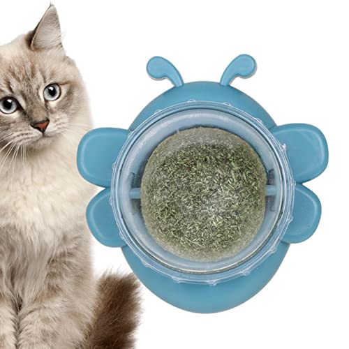 Katzenkugel Wandspielzeug | Wandspielzeug mit Rollkugel in Bienenform | Gesunde Bio Katzennips, drehbare Wandhalterung, essbares Kätzchenspielzeug zum Lecken der Katze von Pacienjo