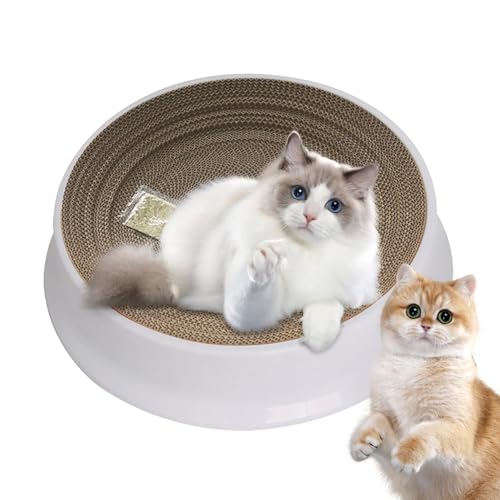 Kratzmatte für Katzen, Möbelschutz, rund, zum Kratzen für Katzen, Katzen-Krallenschärfbett ohne Krümel, Bett aus Innenkarton, verstellbar und rutschfest für den Boden Pacienjo Kratzmatte für Katzen, Möbelschutz, rund, zum Kratzen für Katzen, Katzen-Krallenschärfbett ohne Krümel, Bett aus Innenkarton, verstellbar und rutschfest für den Boden Pacienjo von Pacienjo