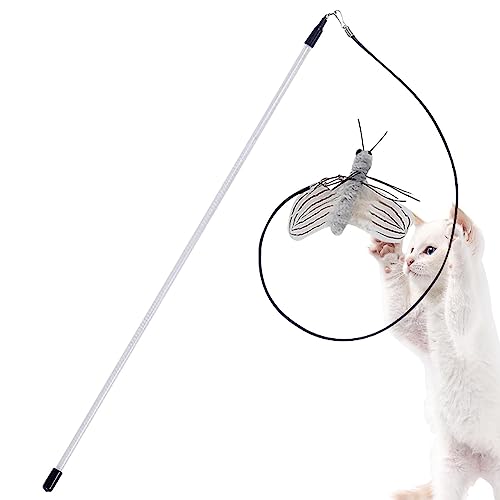 Katzenspielzeug, interaktives Spielzeug für Katzen, mit niedlicher Befestigung und Nachfüllpackungen mit Glocke – lustiges Kätzchen-Spielzeug für Katzen, für Katzen im Innenbereich Katzenspielzeug, interaktives Spielzeug für Katzen, mit niedlicher Befestigung und Nachfüllpackungen mit Glocke – lustiges Kätzchen-Spielzeug für Katzen, für Katzen im Innenbereich von Pacienjo