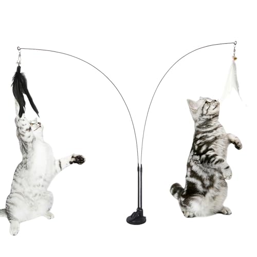 Katzenspielzeug | Seilspielzeug für Kätzchen – interaktives Katzenspielzeug mit Super-Saugnapf, abnehmbarer Federersatz, für Indoor-Katzen, Spielübungen Katzenspielzeug | Seilspielzeug für Kätzchen – interaktives Katzenspielzeug mit Super-Saugnapf, abnehmbarer Federersatz, für Indoor-Katzen, Spielübungen von Pacienjo