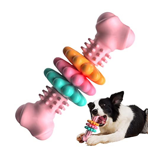Pacienjo Kauknochen für Hunde – Kauspielzeug aus Gummi mit sauberen Zähnen – Hundespielzeug in Knochenform, langlebiges Kauspielzeug für kleine und mittelgroße Hunde von Pacienjo