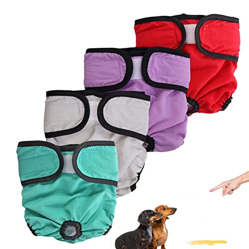 Windeln für Hunde, waschbar, verstellbares Design, Wiederverwendbare und waschbare Windeln, Design in leuchtenden Farben für kleine Hunde, Welpen und Frauen. Windeln für Hunde, waschbar, verstellbares Design, Wiederverwendbare und waschbare Windeln, Design in leuchtenden Farben für kleine Hunde, Welpen und Frauen. von Pacienjo