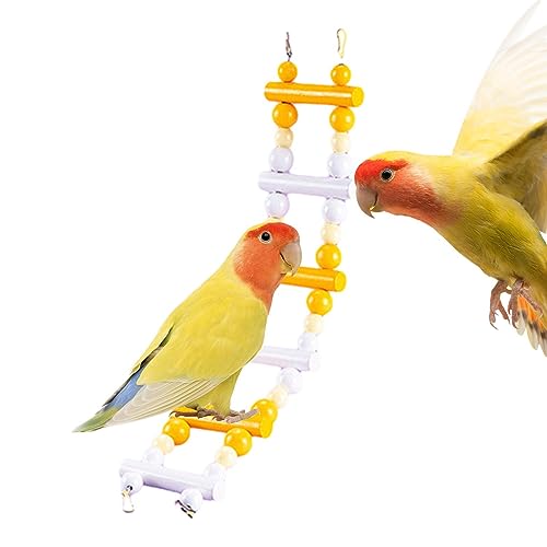 Schaukel für Vogelkäfig | Kletterständer aus für Vogelkäfig für Spatz – lustiges Vogelspielzeug für Papageien, Wellensittiche, Aras Spatz, Vogel, Eichhörnchen Pacienjo Schaukel für Vogelkäfig | Kletterständer aus für Vogelkäfig für Spatz – lustiges Vogelspielzeug für Papageien, Wellensittiche, Aras Spatz, Vogel, Eichhörnchen Pacienjo von Pacienjo