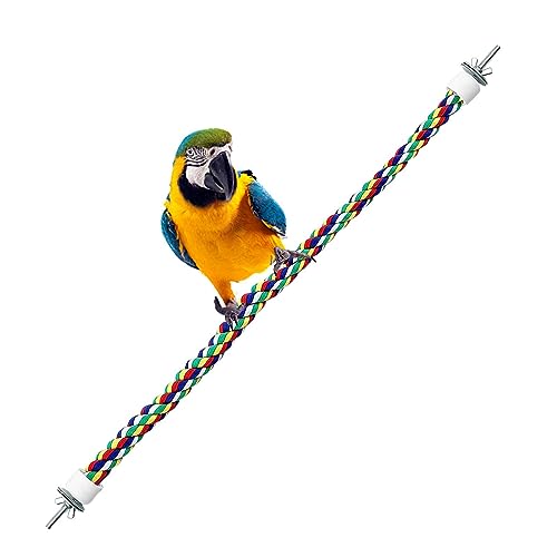 Seilstange für Vögel – faltbare Vogelstange aus Edelstahl für Käfig | Tragbares Seilspielzeug zum Reinigen der Zähne, kleine bunte Vögel zum Trainieren Pacienjo von Pacienjo