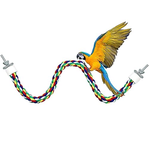 Sitzstangen aus Seil für Vogelkäfige – Sitzstange, faltbar, aus Edelstahl, für Käfig, buntes Spielzeug zur Reinigung von Zähnen für Übung, Klettern, Erkundung, Spielzeug Pacienjo Sitzstangen aus Seil für Vogelkäfige – Sitzstange, faltbar, aus Edelstahl, für Käfig, buntes Spielzeug zur Reinigung von Zähnen für Übung, Klettern, Erkundung, Spielzeug Pacienjo von Pacienjo