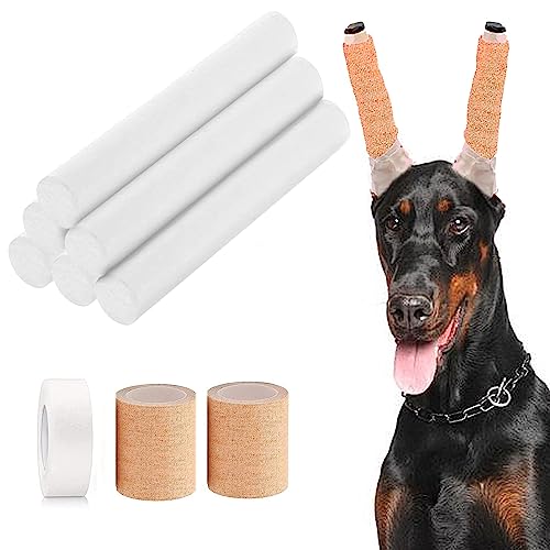 Pacify Dobermann Dog Ear Posting Kit, Dog Ear Stand Up Support Tool with Tape Doberman Pinscher Dogs Pacify Dobermann Dog Ear Posting Kit, Dog Ear Stand Up Support Tool with Tape Doberman Pinscher Dogs von Pacify