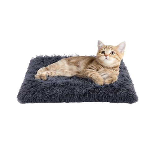 Paco Home Hundebett Katzenbett Flauschig Hundekissen Donut Hundedecke Hund Katze Hundekörbchen Katzenkorb Waschbar, Farbe:Anthrazit, Größe:30x40 cm Paco Home Hundebett Katzenbett Flauschig Hundekissen Donut Hundedecke Hund Katze Hundekörbchen Katzenkorb Waschbar, Farbe:Anthrazit, Größe:30x40 cm von Paco Home