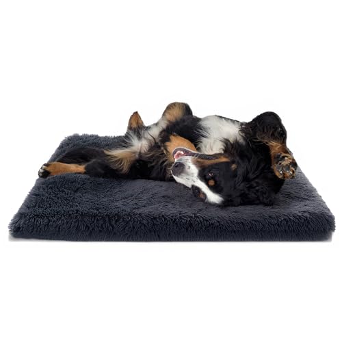 Paco Home Hundebett Katzenbett Flauschig Hundekissen Donut Hundedecke Hund Katze Hundekörbchen Katzenkorb Waschbar, Farbe:Anthrazit, Größe:80x120 cm Paco Home Hundebett Katzenbett Flauschig Hundekissen Donut Hundedecke Hund Katze Hundekörbchen Katzenkorb Waschbar, Farbe:Anthrazit, Größe:80x120 cm von Paco Home