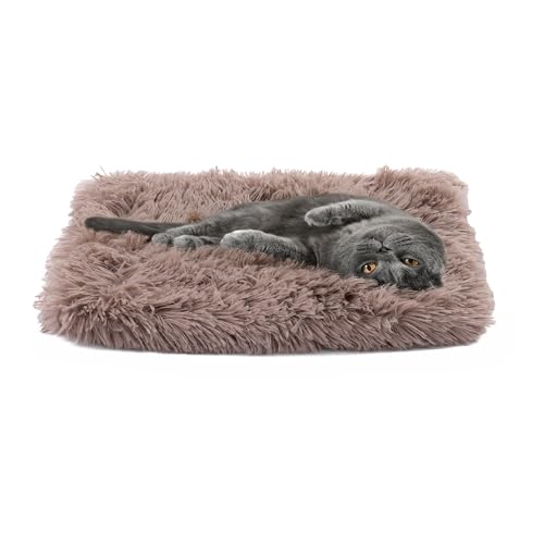 Paco Home Hundebett Katzenbett Flauschig Hundekissen Hundesofa Donut Hundedecke Hund Katze Hundekörbchen Katzenkorb, Farbe:Beige, Größe:40x50 cm von Paco Home