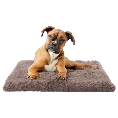 Paco Home Hundebett Katzenbett Flauschig Hundekissen Hundesofa Donut Hundedecke Hund Katze Hundekörbchen Katzenkorb, Farbe:Beige, Größe:50x80 cm von Paco Home