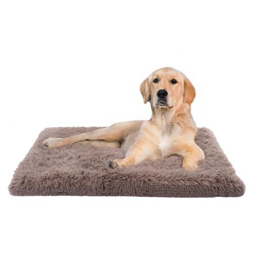 Paco Home Hundebett Katzenbett Flauschig Hundekissen Hundesofa Donut Hundedecke Hund Katze Hundekörbchen Katzenkorb, Farbe:Beige, Größe:60x100 cm von Paco Home