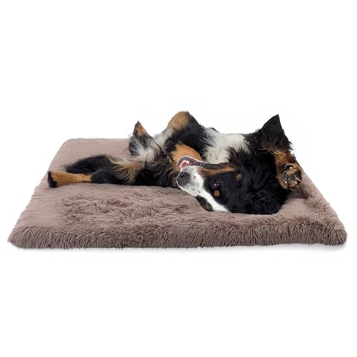 Paco Home Hundebett Katzenbett Flauschig Hundekissen Hundesofa Donut Hundedecke Hund Katze Hundekörbchen Katzenkorb, Farbe:Beige, Größe:80x120 cm von Paco Home