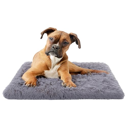 Paco Home Hundebett Katzenbett Flauschig Hundekissen Hundesofa Donut Hundedecke Hund Katze Hundekörbchen Katzenkorb, Farbe:Grau, Größe:50x80 cm von Paco Home