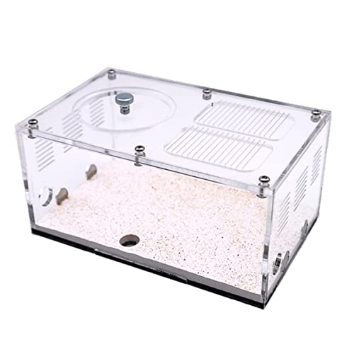 PacuM Ant Farm Infinite Expansion Ant Farm Concrete Ant Nest Acrylic Insect House Colony Drinker Anthill Kit Ants Ecological Workshop Display Box Accessories (Color : Activity Areab) von PacuM