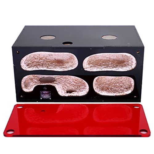 PacuM Ant Farm Infinite Expansion Ant Farm Concrete Ant Nest Acrylic Insect House Colony Drinker Anthill Kit Ants Ecological Workshop Display Box Accessories (Color : Nest Area-b1) von PacuM