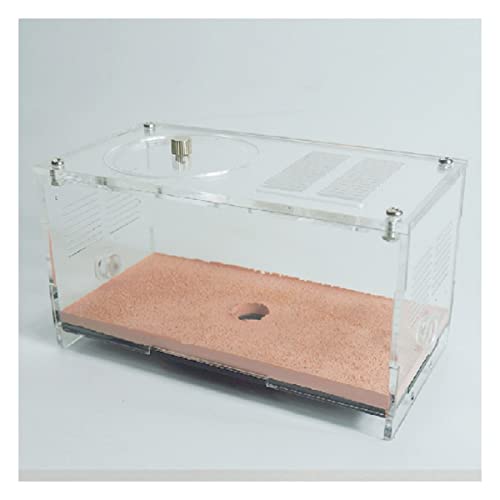 PacuM Ant Farm Unlimited Expansion Ant Farm Acrylic Ant Nest Concrete Ant House Insect Castle Workshop Educational Habitat Pet Anthill Feeding Box Birthday Present Gift (Color : Small Activity Area) von PacuM