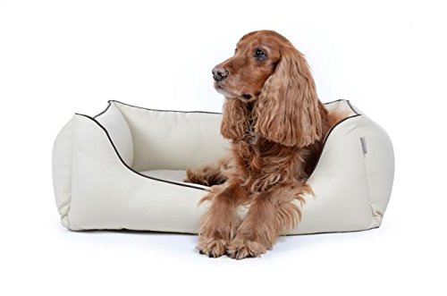 PadsForAll Hundebett Hundeliege Hundesofa Kunstleder in 12 Farben S - XL VISCOSCHAUMSTOFF PadsForAll Hundebett Hundeliege Hundesofa Kunstleder in 12 Farben S - XL VISCOSCHAUMSTOFF von PadsForAll
