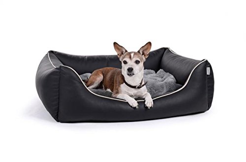 PadsForAll Hundebett Hundeliege Hundesofa Kunstleder in 12 Farben S - XL PadsForAll Hundebett Hundeliege Hundesofa Kunstleder in 12 Farben S - XL von PadsForAll