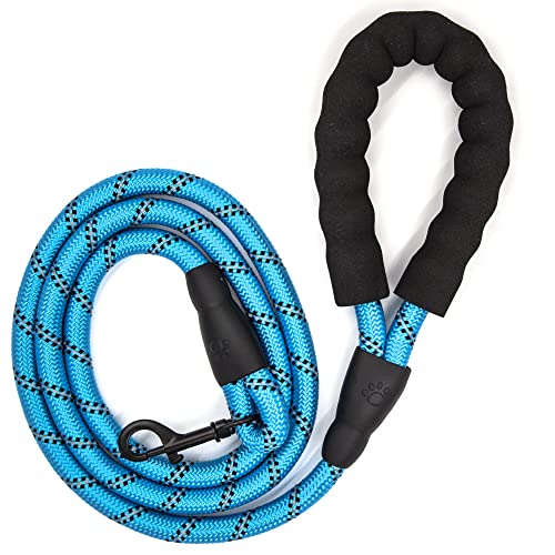 Pätsworld Hundeleine gepolstert - 1,5m Lange Trainingsleine für Hunde - Reflektierende Hundeleine für große Hunde - Premium Dog Leash - Komfortable Führleine für stark ziehende Hunde Pätsworld Hundeleine gepolstert - 1,5m Lange Trainingsleine für Hunde - Reflektierende Hundeleine für große Hunde - Premium Dog Leash - Komfortable Führleine für stark ziehende Hunde von Pätsworld