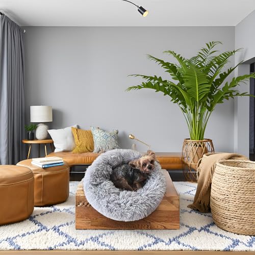 Pagcrebris Weiches mittelgroßes Hundebett, waschbare Hundematte für mittelgroße Hunde, Bequeme rutschfeste Hundematte mit langem Plüsch, Kaffee Farbe, 100×100 cm Pagcrebris Weiches mittelgroßes Hundebett, waschbare Hundematte für mittelgroße Hunde, Bequeme rutschfeste Hundematte mit langem Plüsch, Kaffee Farbe, 100×100 cm von Pagcrebris