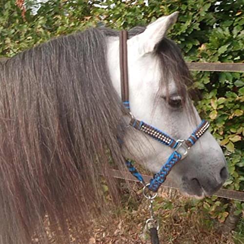 Pagony Deluxe Seilhalfter Blau Größe: Mini Shetland von Pagony