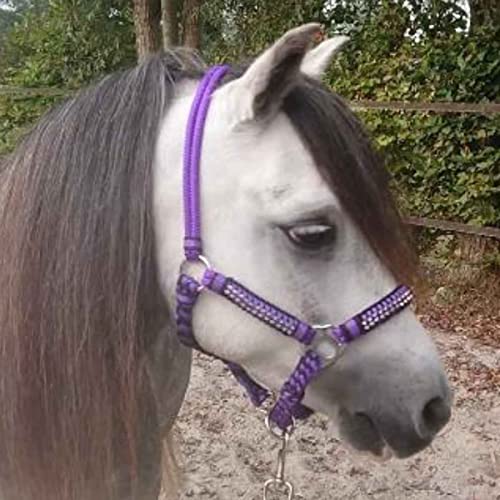 Pagony Deluxe Seilhalfter Lila Größe: Mini Shetland von Pagony