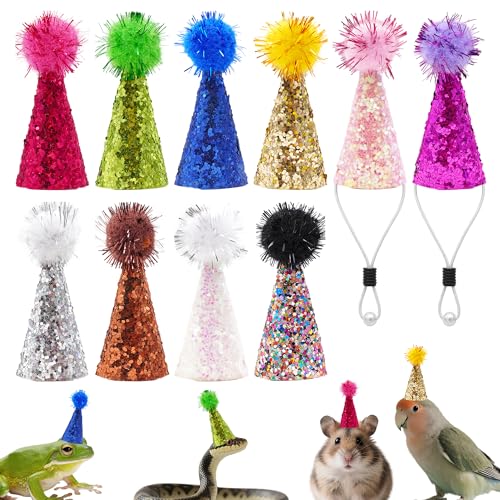 Pai Sence Mini-Partyhüte für Hamster, Eidechsen, 2,5 cm, Glitzerkegel, Finger, Hüte mit Pompons, Reptilien, Haustiere, Meerschweinchen, Bauernhof, Tierfiguren, Spielzeug, Mütze, Dekorationen, 10 Stück Pai Sence Mini-Partyhüte für Hamster, Eidechsen, 2,5 cm, Glitzerkegel, Finger, Hüte mit Pompons, Reptilien, Haustiere, Meerschweinchen, Bauernhof, Tierfiguren, Spielzeug, Mütze, Dekorationen, 10 Stück von Pai Sence