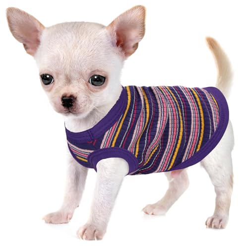 Erhöhen Sie den Komfort und die Mode Ihres Haustiers: Hochwertige gerippte Hundeweste aus 100 % Baumwolle für kleine Rassen wie Chihuahuas, Yorkies und Welpen. Ganzjähriger Stil mit Hundekleidung im Erhöhen Sie den Komfort und die Mode Ihres Haustiers: Hochwertige gerippte Hundeweste aus 100 % Baumwolle für kleine Rassen wie Chihuahuas, Yorkies und Welpen. Ganzjähriger Stil mit Hundekleidung im von Paiaite