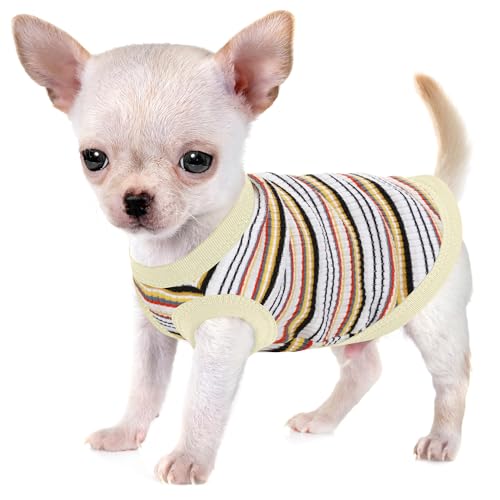 Erhöhen Sie den Komfort und die Mode Ihres Haustiers: Hochwertige gerippte Hundeweste aus 100 % Baumwolle für kleine Rassen wie Chihuahuas, Yorkshire Terrier und Welpen. Ganzjähriger Stil mit Erhöhen Sie den Komfort und die Mode Ihres Haustiers: Hochwertige gerippte Hundeweste aus 100 % Baumwolle für kleine Rassen wie Chihuahuas, Yorkshire Terrier und Welpen. Ganzjähriger Stil mit von Paiaite