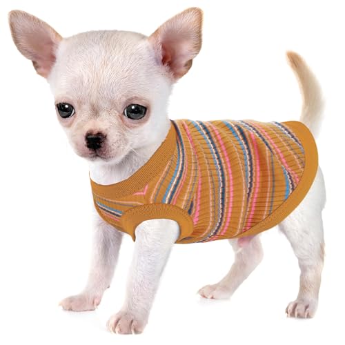 Erhöhen Sie den Komfort und die Mode Ihres Haustiers: Hochwertige gerippte Hundeweste aus 100 % Baumwolle für kleine Rassen wie Chihuahuas, Yorkshire Terrier und Welpen. Ganzjähriger Stil mit Erhöhen Sie den Komfort und die Mode Ihres Haustiers: Hochwertige gerippte Hundeweste aus 100 % Baumwolle für kleine Rassen wie Chihuahuas, Yorkshire Terrier und Welpen. Ganzjähriger Stil mit von Paiaite