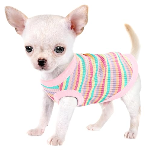 Erhöhen Sie den Komfort und die Mode Ihres Haustiers: Hochwertige gerippte Hundeweste aus 100 % Baumwolle für kleine Rassen wie Chihuahuas, Yorkshire Terrier und Welpen. Ganzjähriger Stil mit Erhöhen Sie den Komfort und die Mode Ihres Haustiers: Hochwertige gerippte Hundeweste aus 100 % Baumwolle für kleine Rassen wie Chihuahuas, Yorkshire Terrier und Welpen. Ganzjähriger Stil mit von Paiaite