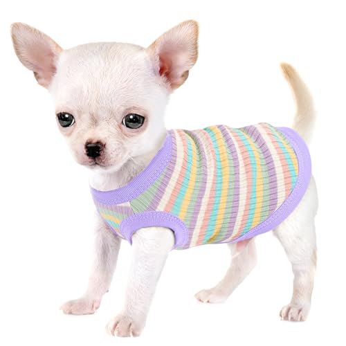 Erhöhen Sie den Komfort und die Mode Ihres Haustiers: Hochwertige gerippte Hundeweste aus 100 % Baumwolle für kleine Rassen wie Chihuahuas, Yorkshire Terrier und Welpen. Ganzjähriger Stil mit von Paiaite