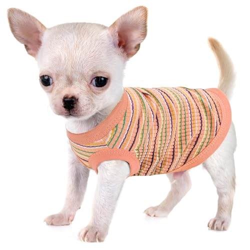 Erhöhen Sie den Komfort und die Mode Ihres Haustiers: Hochwertige gerippte Hundeweste aus 100 % Baumwolle für kleine Rassen wie Chihuahuas, Yorkshire Terrier und Welpen. Ganzjähriger Stil mit von Paiaite