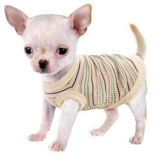 Erhöhen Sie den Komfort und die Mode Ihres Haustiers: Hochwertige gerippte Hundeweste aus 100 % Baumwolle für kleine Rassen wie Chihuahuas, Yorkshire Terrier und Welpen. Ganzjähriger Stil mit von Paiaite