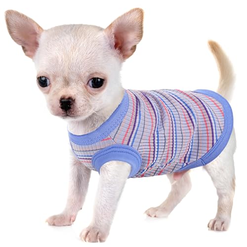 Erhöhen Sie den Komfort und die Mode Ihres Haustiers: Hochwertige gerippte Hundeweste aus 100 % Baumwolle für kleine Rassen wie Chihuahuas, Yorkshire Terrier und Welpen. Ganzjähriger Stil mit Erhöhen Sie den Komfort und die Mode Ihres Haustiers: Hochwertige gerippte Hundeweste aus 100 % Baumwolle für kleine Rassen wie Chihuahuas, Yorkshire Terrier und Welpen. Ganzjähriger Stil mit von Paiaite
