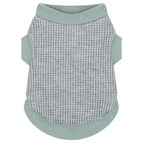 Gemütliches und funktionales Hunde-Shirt für kleine Welpen: Dehnbare, grüne Kleidung mit einfachem Design, ideal für Chihuahuas und Yorkies – verbessert Komfort und Verspieltheit an kühlen Tagen, von Paiaite