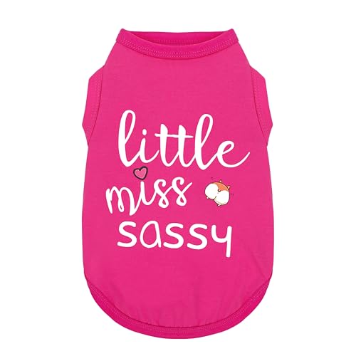 Paiaite Modische ärmellose Haustierweste mit Aufdruck "Little Miss Sassy" aus Baumwolle, ideal für kleine, mittelgroße und große Rassen, sorgt für Komfort und Atmungsaktivität, Rosenrot, Größe XL Paiaite Modische ärmellose Haustierweste mit Aufdruck "Little Miss Sassy" aus Baumwolle, ideal für kleine, mittelgroße und große Rassen, sorgt für Komfort und Atmungsaktivität, Rosenrot, Größe XL von Paiaite