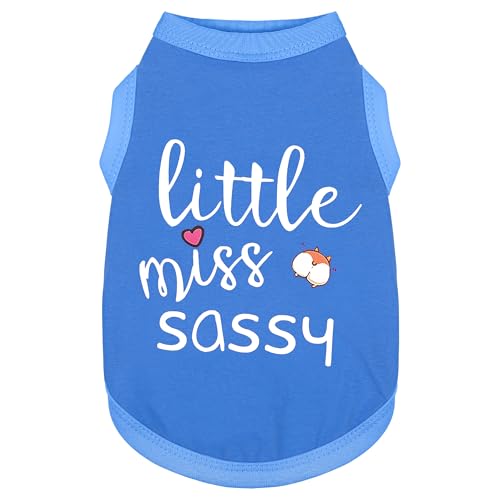 Paiaite Modische ärmellose Haustierweste: "Little Miss Sassy" bedrucktes Baumwoll-Hunde-Shirt, ideal für kleine, mittelgroße und große Rassen, sorgt für Komfort und Atmungsaktivität, Blau, Größe 3XL Paiaite Modische ärmellose Haustierweste: "Little Miss Sassy" bedrucktes Baumwoll-Hunde-Shirt, ideal für kleine, mittelgroße und große Rassen, sorgt für Komfort und Atmungsaktivität, Blau, Größe 3XL von Paiaite