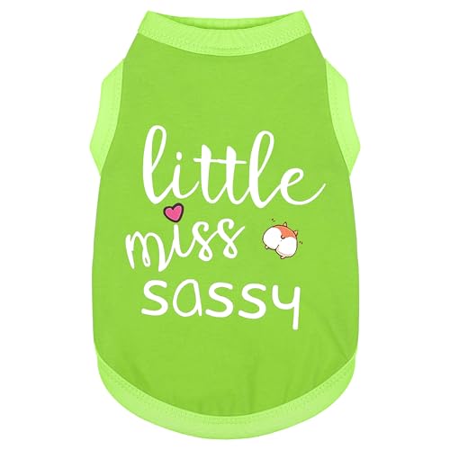 Paiaite Modische ärmellose Haustierweste: "Little Miss Sassy" bedrucktes Baumwoll-Hunde-Shirt, ideal für kleine, mittelgroße und große Rassen, sorgt für Komfort und Atmungsaktivität, Grün, Größe 3XL Paiaite Modische ärmellose Haustierweste: "Little Miss Sassy" bedrucktes Baumwoll-Hunde-Shirt, ideal für kleine, mittelgroße und große Rassen, sorgt für Komfort und Atmungsaktivität, Grün, Größe 3XL von Paiaite