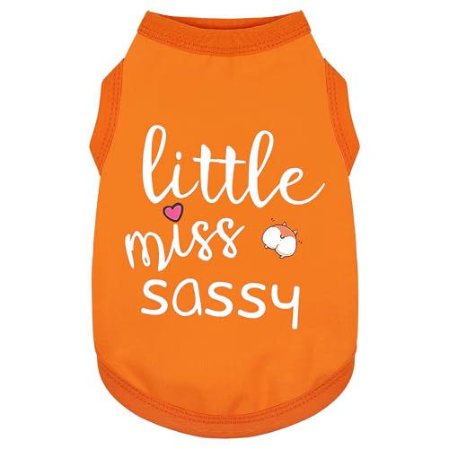 Paiaite Modische ärmellose Haustierweste: "Little Miss Sassy" bedrucktes Baumwoll-Hunde-Shirt, ideal für kleine, mittelgroße und große Rassen, sorgt für Komfort und Atmungsaktivität, Orange, Größe XS Paiaite Modische ärmellose Haustierweste: "Little Miss Sassy" bedrucktes Baumwoll-Hunde-Shirt, ideal für kleine, mittelgroße und große Rassen, sorgt für Komfort und Atmungsaktivität, Orange, Größe XS von Paiaite