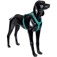 Paikka Easy Harness emerald grün/ türkis S von Paikka