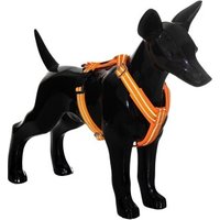 Paikka Easy Harness orange orange XS von Paikka