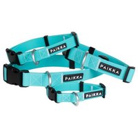 Paikka Glow Collar aqua 26 cm, 2,5 cm von Paikka