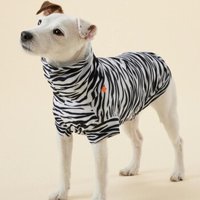 Paikka UV & Bug Shirt - Repeltec 35 cm von Paikka