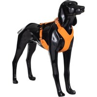 Paikka Visibility Harness orange XXL von Paikka