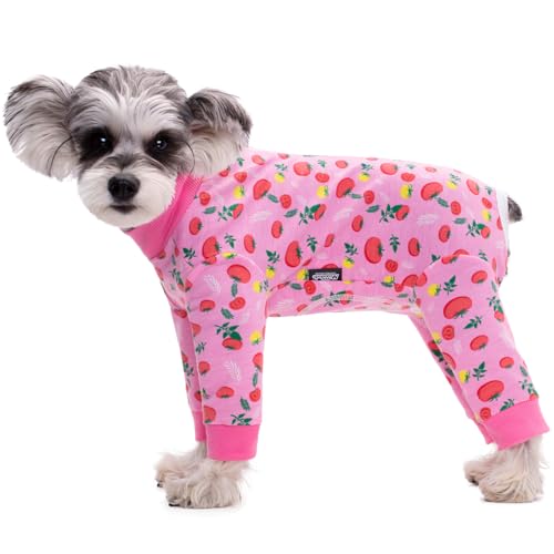 Paipeper Hunde-OP-Anzug für kleine und mittelgroße Hunde, Hundebody verhindert Haarausfall und Lecken von Wunden, Hunde-Pyjama, Alternative zu E-Halsbändern (Fruchtweiblicher Hund, Xs) von Paipeper