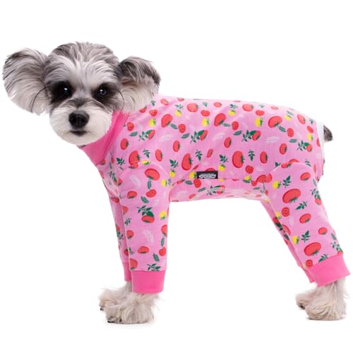 Paipeper Hunde-OP-Anzug für weibliche und männliche Welpen, langärmelig, verhindert Haarausfall und Lecken von Wunden, Hunde-Pyjama, Alternative zu E-Halsbändern (Obst-weibliche Hunde) von Paipeper